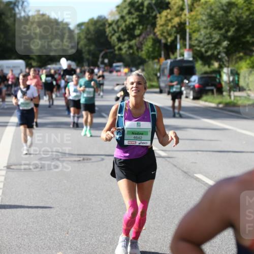 20.09.2026 - PSD Bank Halbmarathon Jannik Wohlers http://msf.ph/oto/10514368 20.09.2026 10:47:12 Laufen 4642 meine-sportfotos.de
