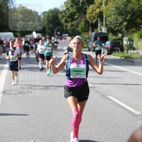 20.09.2026 - PSD Bank Halbmarathon Jannik Wohlers http://msf.ph/oto/10514371 20.09.2026 10:47:12 Laufen 4642 meine-sportfotos.de