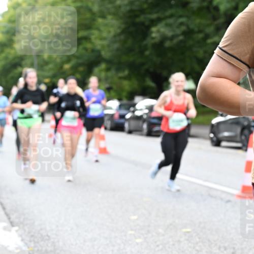 20.09.2026 - PSD Bank Halbmarathon Dr. Thomas Lammeyer http://msf.ph/oto/10514373 20.09.2026 11:09:04 Laufen  meine-sportfotos.de