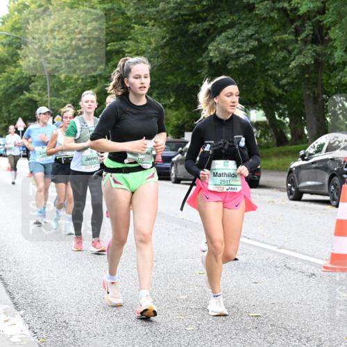 20.09.2026 - PSD Bank Halbmarathon Dr. Thomas Lammeyer http://msf.ph/oto/10514442 20.09.2026 11:09:06 Laufen 115, 2511 meine-sportfotos.de