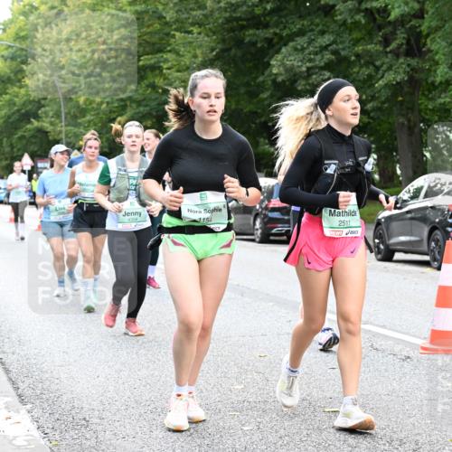 20.09.2026 - PSD Bank Halbmarathon Dr. Thomas Lammeyer http://msf.ph/oto/10514451 20.09.2026 11:09:06 Laufen 4304, 1154, 2511 meine-sportfotos.de