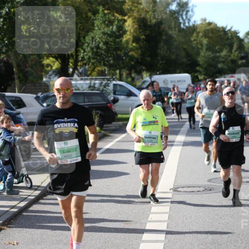 20.09.2026 - PSD Bank Halbmarathon Jannik Wohlers http://msf.ph/oto/10514650 20.09.2026 10:47:50 Laufen 4652, 4123, 1859, 4616 meine-sportfotos.de