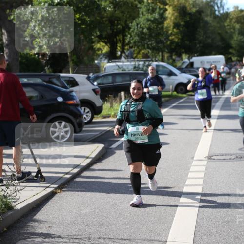 20.09.2026 - PSD Bank Halbmarathon Jannik Wohlers http://msf.ph/oto/10514727 20.09.2026 10:48:06 Laufen  meine-sportfotos.de