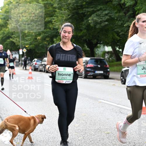 20.09.2026 - PSD Bank Halbmarathon Dr. Thomas Lammeyer http://msf.ph/oto/10514829 20.09.2026 11:09:19 Laufen 2321, 4342 meine-sportfotos.de