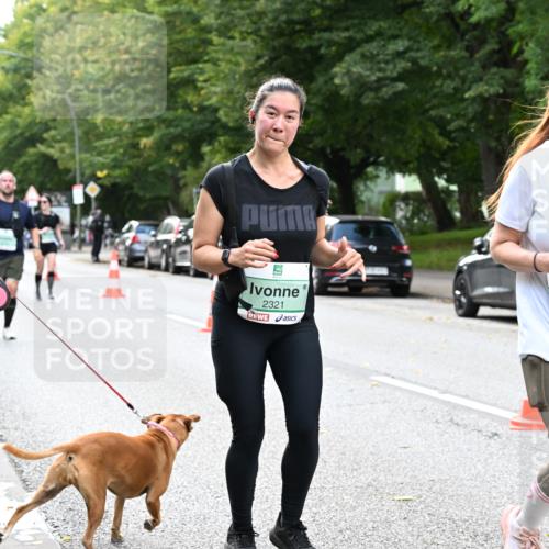 20.09.2026 - PSD Bank Halbmarathon Dr. Thomas Lammeyer http://msf.ph/oto/10514835 20.09.2026 11:09:19 Laufen 2321, 4342 meine-sportfotos.de