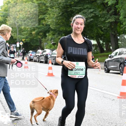 20.09.2026 - PSD Bank Halbmarathon Dr. Thomas Lammeyer http://msf.ph/oto/10514842 20.09.2026 11:09:20 Laufen 2321, 4342 meine-sportfotos.de