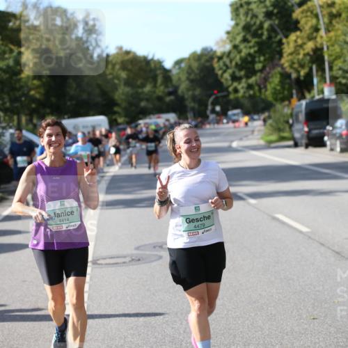 20.09.2026 - PSD Bank Halbmarathon Jannik Wohlers http://msf.ph/oto/10514908 20.09.2026 10:48:33 Laufen 4414, 4479 meine-sportfotos.de