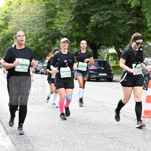 20.09.2026 - PSD Bank Halbmarathon Dr. Thomas Lammeyer http://msf.ph/oto/10515004 20.09.2026 11:09:27 Laufen 2151, 4126, 3747, 31 meine-sportfotos.de