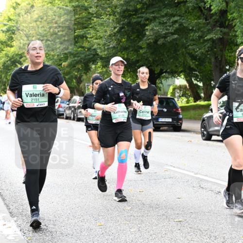 20.09.2026 - PSD Bank Halbmarathon Dr. Thomas Lammeyer http://msf.ph/oto/10515013 20.09.2026 11:09:28 Laufen 2151, 4126, 3747, 1531 meine-sportfotos.de