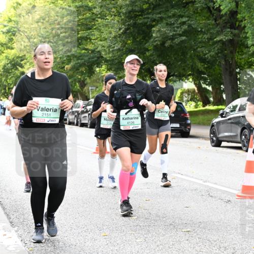 20.09.2026 - PSD Bank Halbmarathon Dr. Thomas Lammeyer http://msf.ph/oto/10515018 20.09.2026 11:09:28 Laufen 2151, 3746, 4126, 3747, 4683, 1531 meine-sportfotos.de