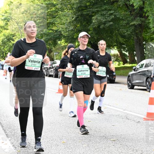 20.09.2026 - PSD Bank Halbmarathon Dr. Thomas Lammeyer http://msf.ph/oto/10515022 20.09.2026 11:09:28 Laufen 2151, 3746, 4126, 100, 3747, 1531 meine-sportfotos.de