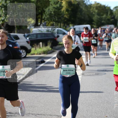 20.09.2026 - PSD Bank Halbmarathon Jannik Wohlers http://msf.ph/oto/10515057 20.09.2026 10:49:09 Laufen 164, 2440, 2441 meine-sportfotos.de