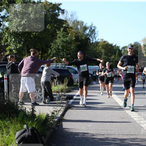 20.09.2026 - PSD Bank Halbmarathon Jannik Wohlers http://msf.ph/oto/10515077 20.09.2026 10:36:24 Laufen  meine-sportfotos.de