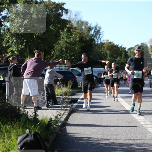 20.09.2026 - PSD Bank Halbmarathon Jannik Wohlers http://msf.ph/oto/10515081 20.09.2026 10:36:24 Laufen  meine-sportfotos.de