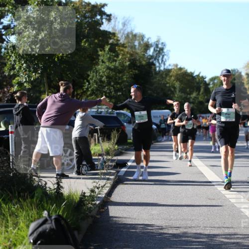 20.09.2026 - PSD Bank Halbmarathon Jannik Wohlers http://msf.ph/oto/10515090 20.09.2026 10:36:25 Laufen  meine-sportfotos.de