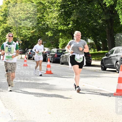20.09.2026 - PSD Bank Halbmarathon Dr. Thomas Lammeyer http://msf.ph/oto/10515228 20.09.2026 11:09:37 Laufen 4700, 19529, 1162 meine-sportfotos.de