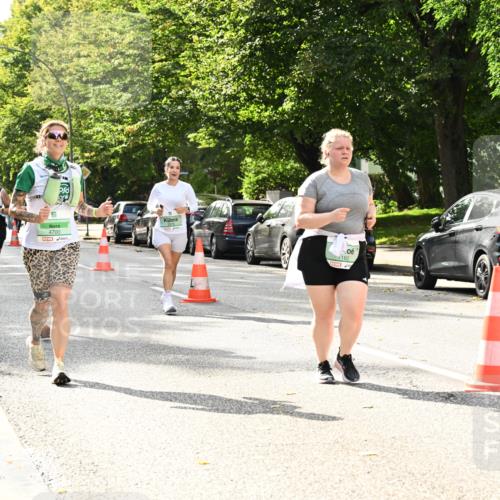 20.09.2026 - PSD Bank Halbmarathon Dr. Thomas Lammeyer http://msf.ph/oto/10515235 20.09.2026 11:09:37 Laufen  meine-sportfotos.de