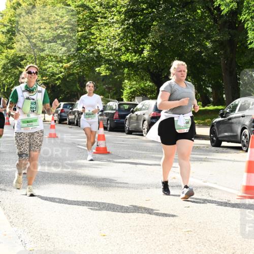 20.09.2026 - PSD Bank Halbmarathon Dr. Thomas Lammeyer http://msf.ph/oto/10515239 20.09.2026 11:09:37 Laufen 4700, 162 meine-sportfotos.de