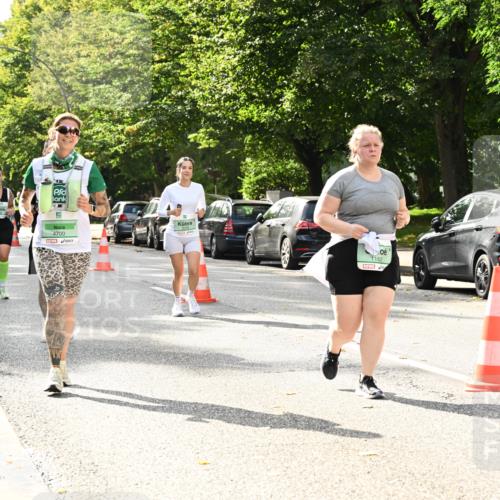 20.09.2026 - PSD Bank Halbmarathon Dr. Thomas Lammeyer http://msf.ph/oto/10515243 20.09.2026 11:09:37 Laufen 4700, 1162 meine-sportfotos.de