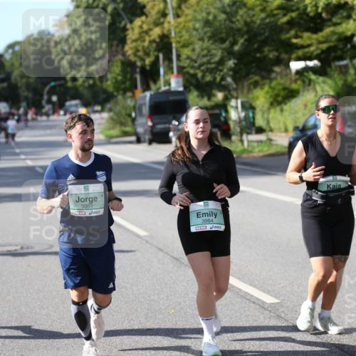 20.09.2026 - PSD Bank Halbmarathon Jannik Wohlers http://msf.ph/oto/10515248 20.09.2026 10:49:37 Laufen 1969, 3983, 3984, 1598 meine-sportfotos.de