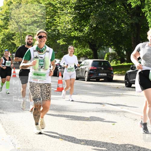 20.09.2026 - PSD Bank Halbmarathon Dr. Thomas Lammeyer http://msf.ph/oto/10515259 20.09.2026 11:09:38 Laufen 4700, 3375, 1162, 4683 meine-sportfotos.de