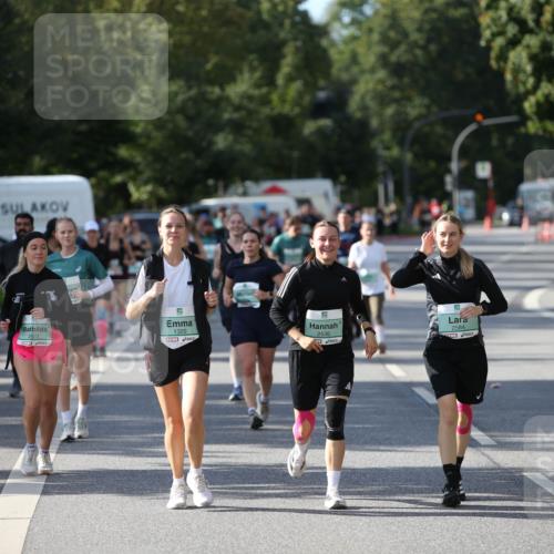 20.09.2026 - PSD Bank Halbmarathon Jannik Wohlers http://msf.ph/oto/10515275 20.09.2026 10:49:45 Laufen 2511, 1320, 2536, 2584 meine-sportfotos.de