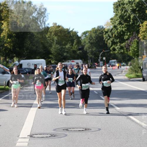 20.09.2026 - PSD Bank Halbmarathon Jannik Wohlers http://msf.ph/oto/10515278 20.09.2026 10:49:46 Laufen  meine-sportfotos.de
