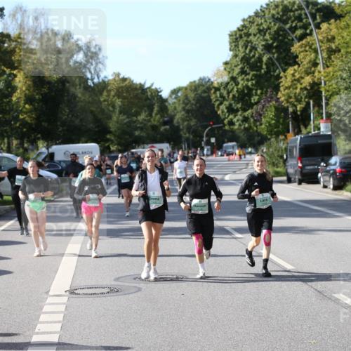 20.09.2026 - PSD Bank Halbmarathon Jannik Wohlers http://msf.ph/oto/10515290 20.09.2026 10:49:48 Laufen  meine-sportfotos.de
