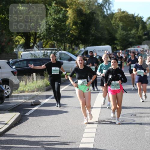20.09.2026 - PSD Bank Halbmarathon Jannik Wohlers http://msf.ph/oto/10515305 20.09.2026 10:49:50 Laufen 2151, 2511 meine-sportfotos.de