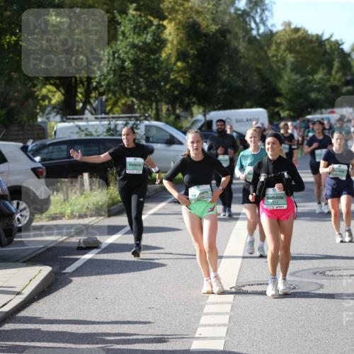 20.09.2026 - PSD Bank Halbmarathon Jannik Wohlers http://msf.ph/oto/10515308 20.09.2026 10:49:50 Laufen 2511 meine-sportfotos.de