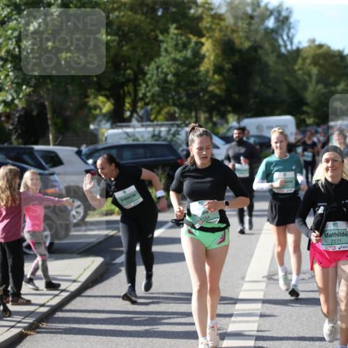20.09.2026 - PSD Bank Halbmarathon Jannik Wohlers http://msf.ph/oto/10515317 20.09.2026 10:49:52 Laufen 154, 2511 meine-sportfotos.de