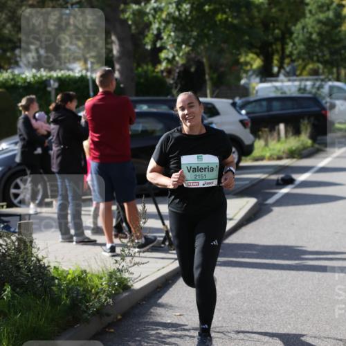 20.09.2026 - PSD Bank Halbmarathon Jannik Wohlers http://msf.ph/oto/10515325 20.09.2026 10:49:54 Laufen 2151 meine-sportfotos.de