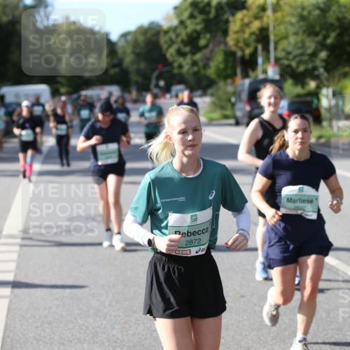 20.09.2026 - PSD Bank Halbmarathon Jannik Wohlers http://msf.ph/oto/10515333 20.09.2026 10:49:55 Laufen 2872 meine-sportfotos.de