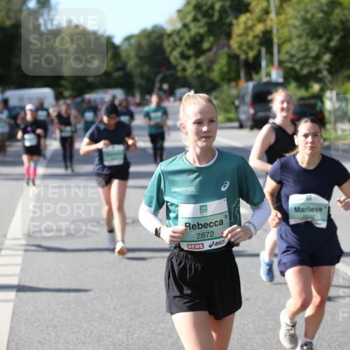 20.09.2026 - PSD Bank Halbmarathon Jannik Wohlers http://msf.ph/oto/10515337 20.09.2026 10:49:55 Laufen 2872, 2592 meine-sportfotos.de