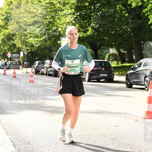 20.09.2026 - PSD Bank Halbmarathon Dr. Thomas Lammeyer http://msf.ph/oto/10515492 20.09.2026 11:09:50 Laufen 2872 meine-sportfotos.de