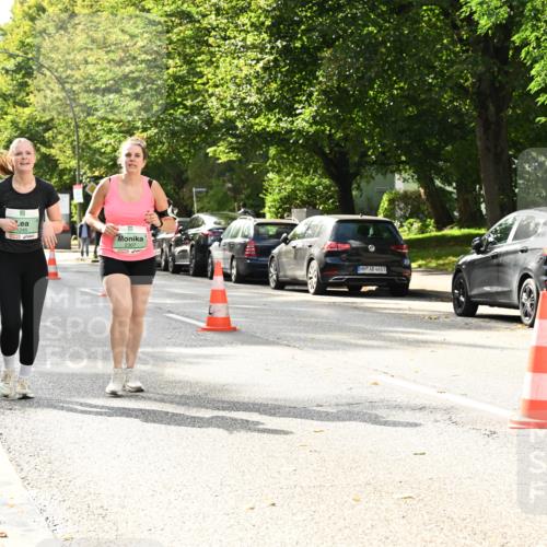 20.09.2026 - PSD Bank Halbmarathon Dr. Thomas Lammeyer http://msf.ph/oto/10515501 20.09.2026 11:10:00 Laufen 1245, 2307, 4683 meine-sportfotos.de