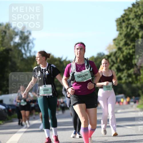 20.09.2026 - PSD Bank Halbmarathon Jannik Wohlers http://msf.ph/oto/10515525 20.09.2026 10:50:26 Laufen 3526, 2537, 3228 meine-sportfotos.de
