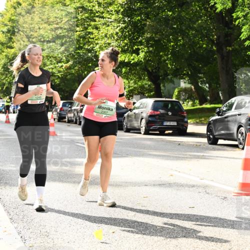 20.09.2026 - PSD Bank Halbmarathon Dr. Thomas Lammeyer http://msf.ph/oto/10515544 20.09.2026 11:10:01 Laufen 1245, 2307, 4683 meine-sportfotos.de