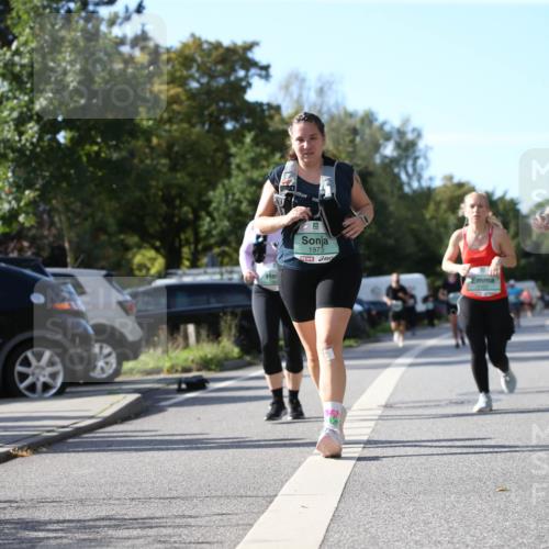 20.09.2026 - PSD Bank Halbmarathon Jannik Wohlers http://msf.ph/oto/10515572 20.09.2026 10:50:35 Laufen 1973, 397 meine-sportfotos.de