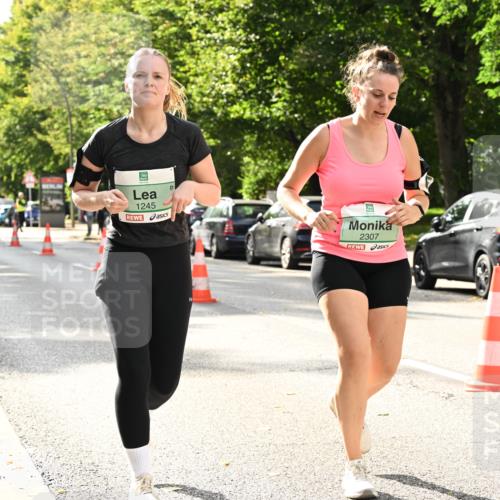 20.09.2026 - PSD Bank Halbmarathon Dr. Thomas Lammeyer http://msf.ph/oto/10515583 20.09.2026 11:10:02 Laufen 1245, 2307 meine-sportfotos.de