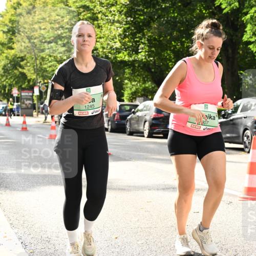 20.09.2026 - PSD Bank Halbmarathon Dr. Thomas Lammeyer http://msf.ph/oto/10515586 20.09.2026 11:10:02 Laufen 1245, 307 meine-sportfotos.de