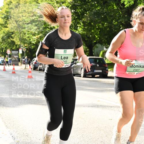 20.09.2026 - PSD Bank Halbmarathon Dr. Thomas Lammeyer http://msf.ph/oto/10515590 20.09.2026 11:10:03 Laufen 245, 2307 meine-sportfotos.de