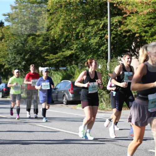 20.09.2026 - PSD Bank Halbmarathon Jannik Wohlers http://msf.ph/oto/10515652 20.09.2026 10:37:23 Laufen 1627, 4576, 3659 meine-sportfotos.de