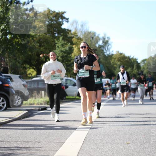 20.09.2026 - PSD Bank Halbmarathon Jannik Wohlers http://msf.ph/oto/10515698 20.09.2026 10:51:14 Laufen 2502, 4047, 1245 meine-sportfotos.de