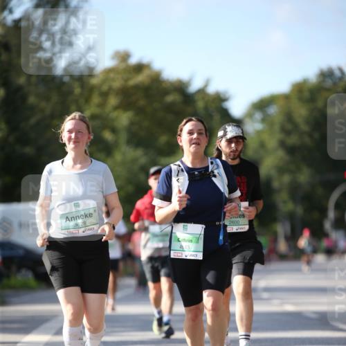 20.09.2026 - PSD Bank Halbmarathon Jannik Wohlers http://msf.ph/oto/10515760 20.09.2026 10:51:27 Laufen 3628, 4643, 2600 meine-sportfotos.de