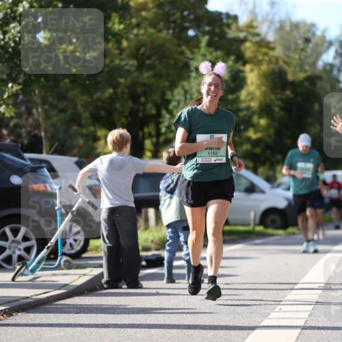 20.09.2026 - PSD Bank Halbmarathon Jannik Wohlers http://msf.ph/oto/10515916 20.09.2026 10:51:47 Laufen 4164 meine-sportfotos.de