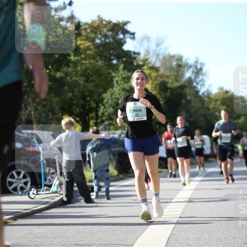 20.09.2026 - PSD Bank Halbmarathon Jannik Wohlers http://msf.ph/oto/10515969 20.09.2026 10:51:56 Laufen 2017, 2192, 4250 meine-sportfotos.de