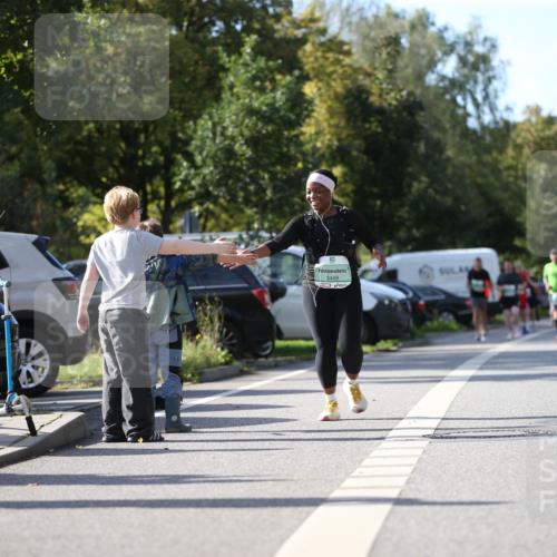 20.09.2026 - PSD Bank Halbmarathon Jannik Wohlers http://msf.ph/oto/10516062 20.09.2026 10:52:11 Laufen 3449 meine-sportfotos.de