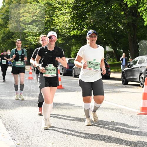 20.09.2026 - PSD Bank Halbmarathon Dr. Thomas Lammeyer http://msf.ph/oto/10516164 20.09.2026 11:10:46 Laufen 4515, 3175, 1182 meine-sportfotos.de