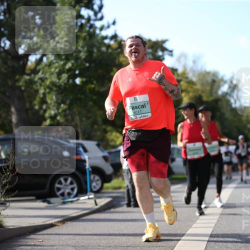 20.09.2026 - PSD Bank Halbmarathon Jannik Wohlers http://msf.ph/oto/10516180 20.09.2026 10:52:35 Laufen 4017 meine-sportfotos.de